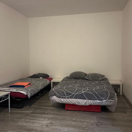 Logement Type Studio 1 Piece Proche Zenith สตราสบูร์ก ภายนอก รูปภาพ