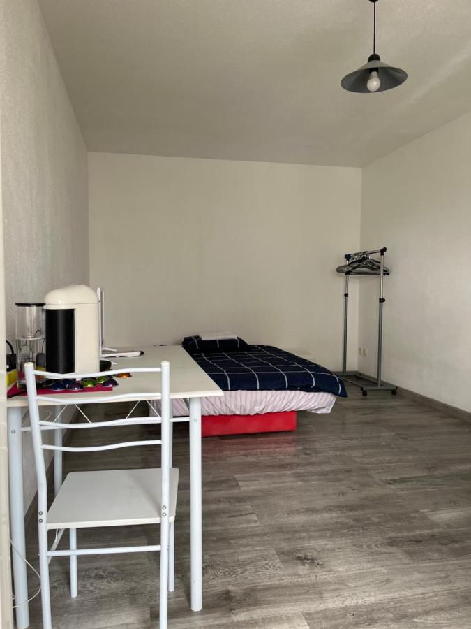 Logement Type Studio 1 Piece Proche Zenith สตราสบูร์ก ภายนอก รูปภาพ